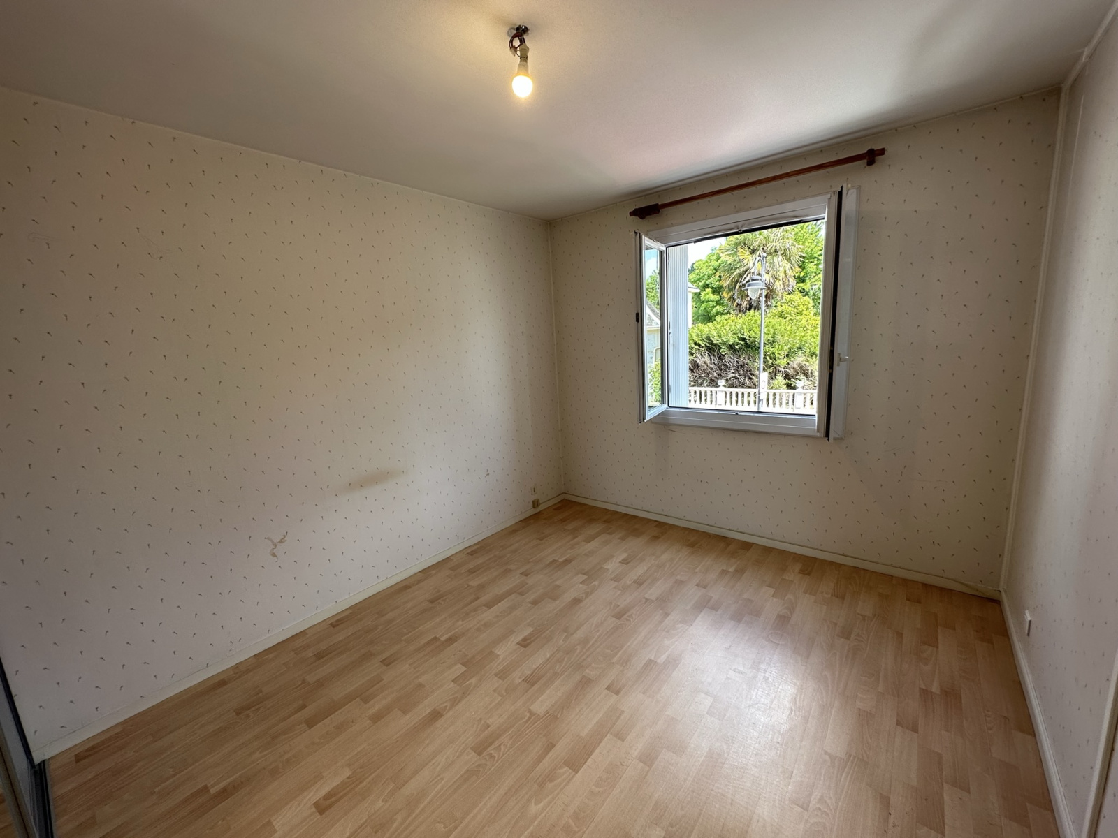 Appartement T Centre Ville Bald Immo